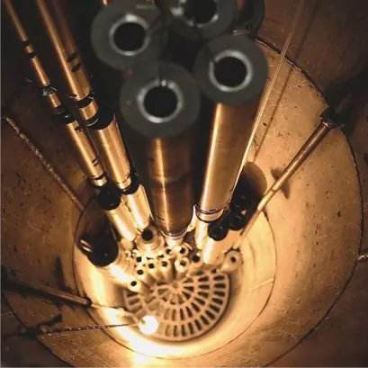 Mutant Injection Molding Screw